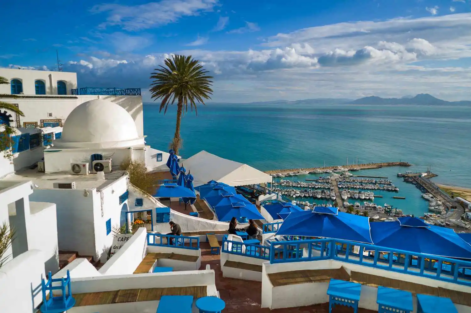 Sidi Bou Said & Carthage half day