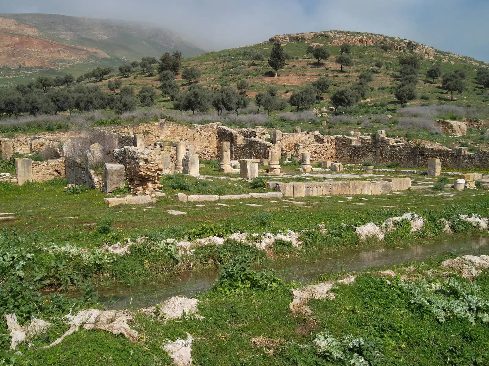 Ruins of the Temple of Apollo at Bulla Regia