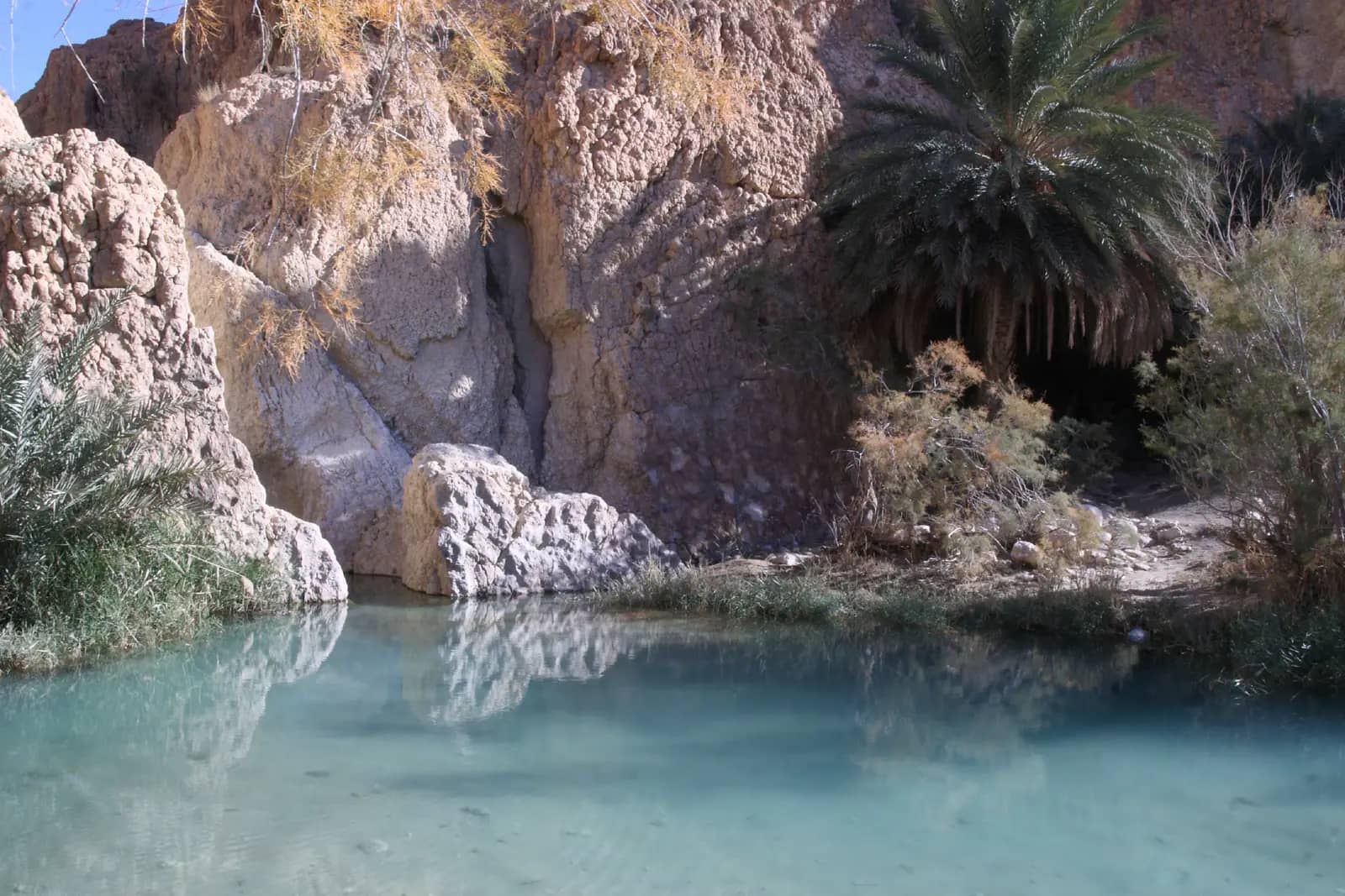 Spring-fed pool and palm trees in the Chebika mountain oasis