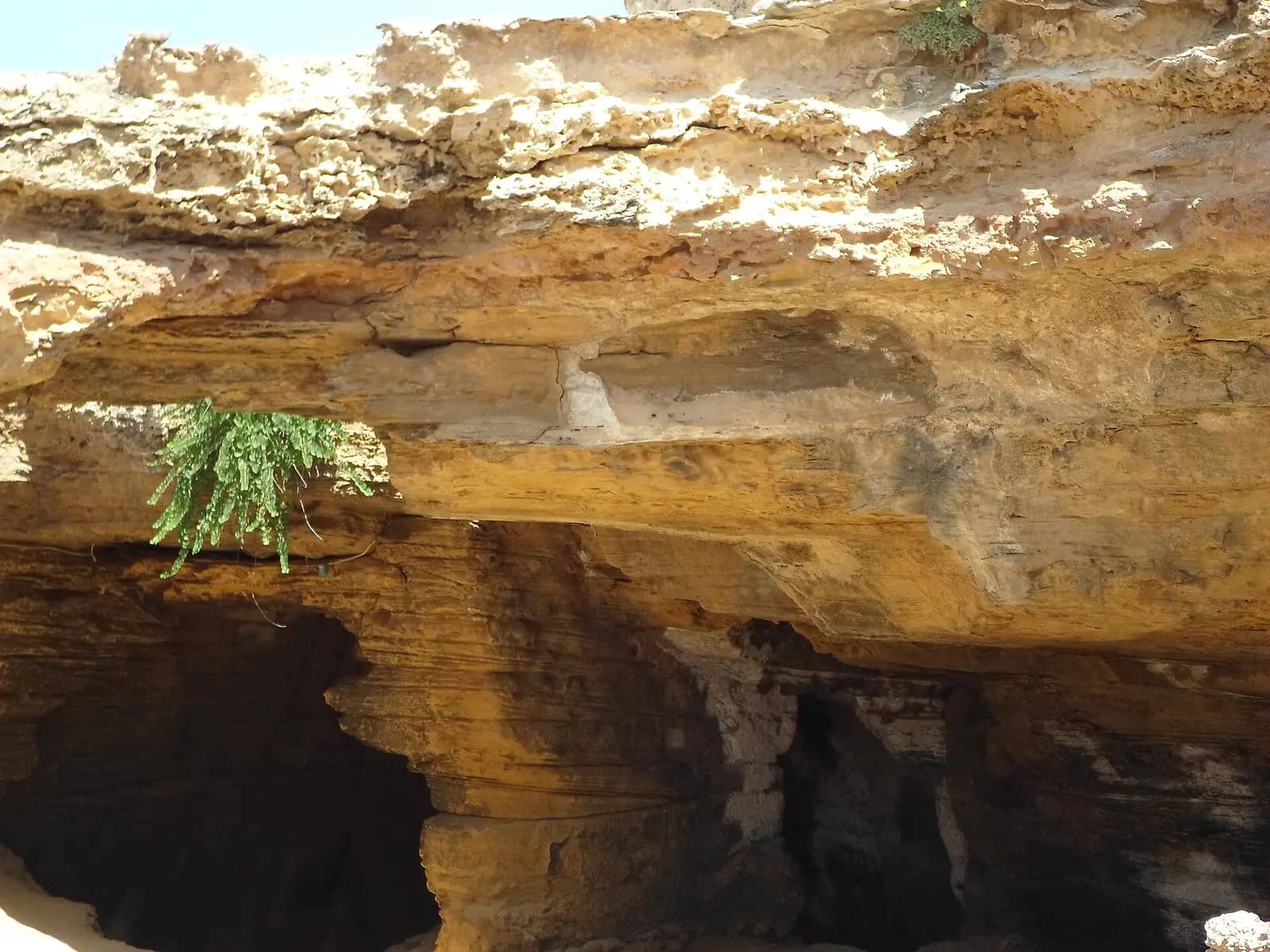 Sunlight through the roof of the Roman quarry caves at El Haouaria
