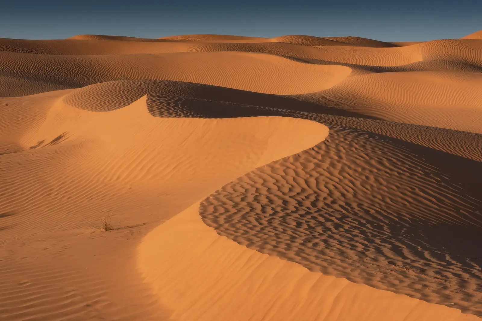 Sahara dunes in southern Tunisia